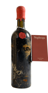 Nephrops