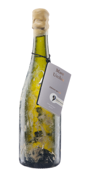 Mare Urchin