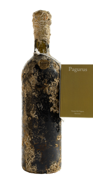 Pagurus